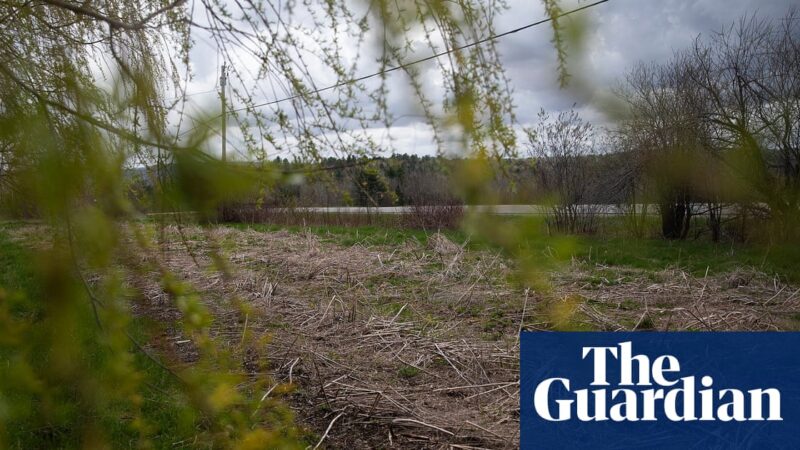 The unlikely alliance pressing Trump to regulate Pfas on US farms: ‘This is a basic human right’ | Pfas