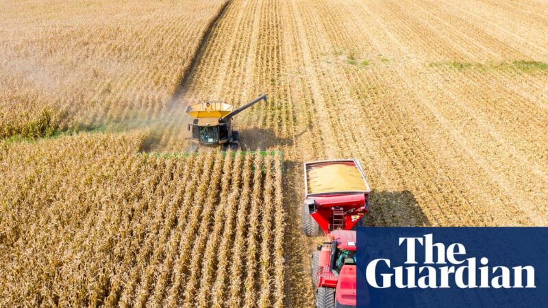 Farmers in US midwest squeezed by Trump tariffs and climate crisis | Ohio