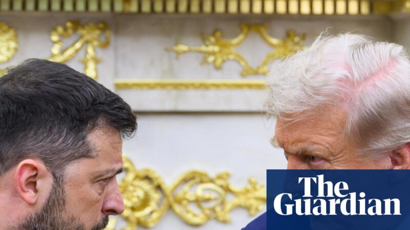 All smoke but no fire as Zelenskky emerges unbruised after Trump meet | Donald Trump