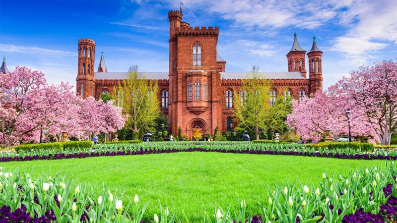 LIZ PEEK: Trump right to declare war on woke ideology at Smithsonian Institution museums