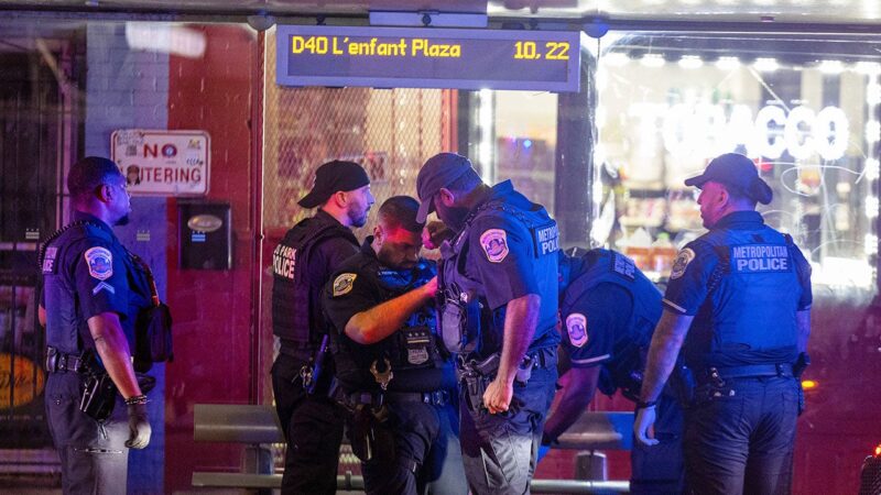 House Republican pushes to extend Trump’s police authority in Washington DC