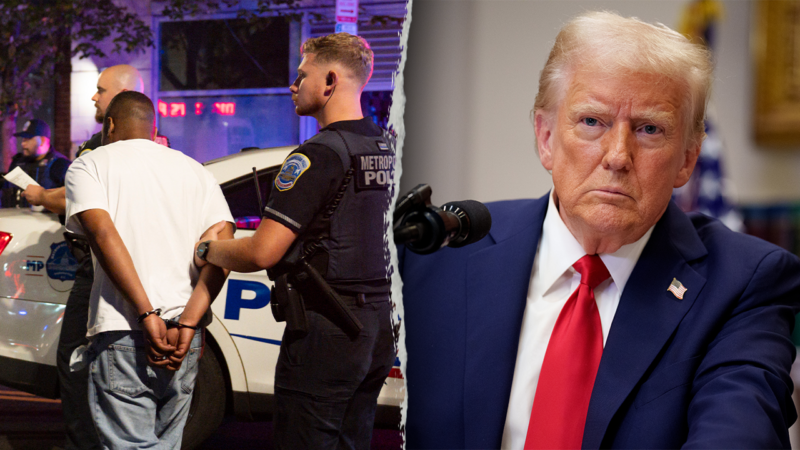 Poll shows 81% of Americans see crime as major issue, 53% back Trump’s methods