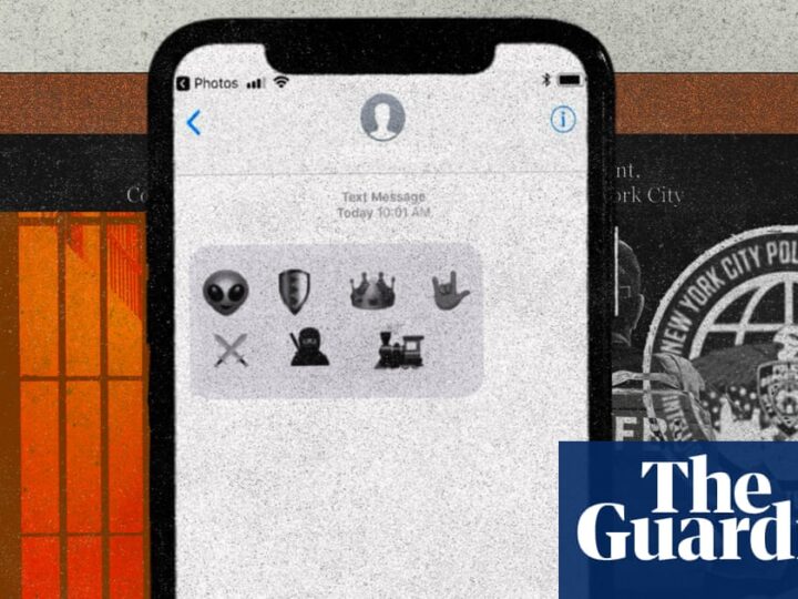 Revealed: US law enforcement claimed emojis could signal Tren de Aragua affiliation | Trump administration