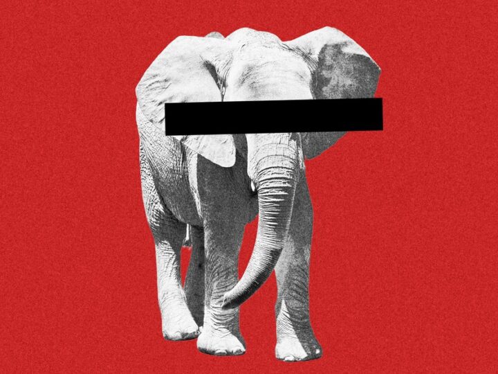 Trump Just Undercut His Defenders