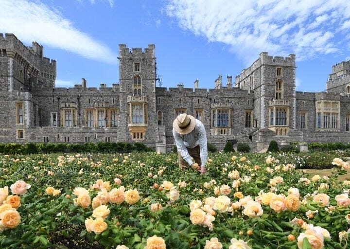 Inside Windsor Castle, Where Donald Trump and King Charles Will Meet