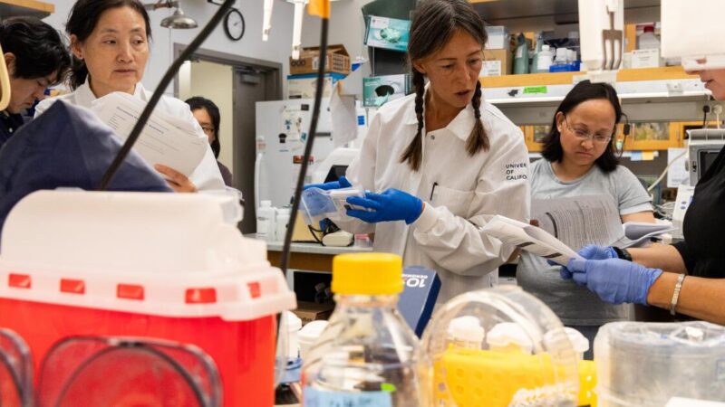 Federal judge orders Trump to restore $500 million in frozen UCLA medical research grants