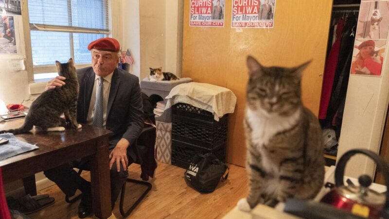 Trump dismisses cat-loving NYC Republican candidate for mayor as ‘not exactly prime time’