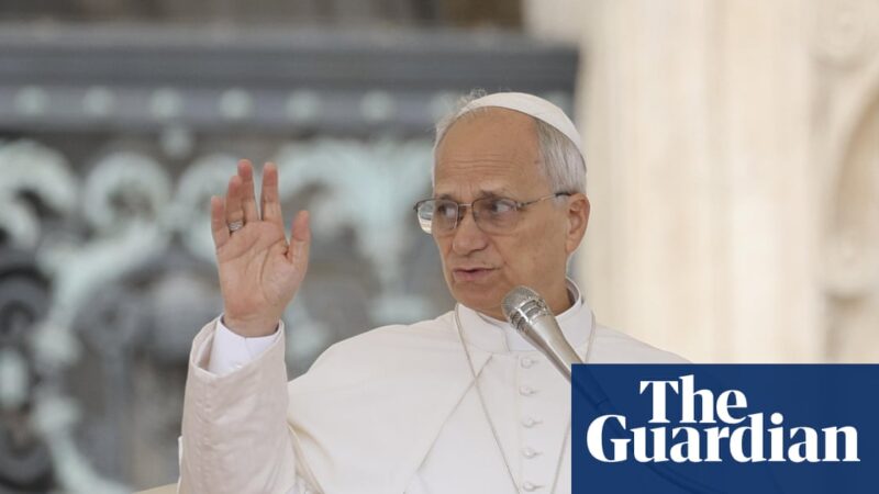 Pope Leo criticizes Trump’s hardline immigration policies: ‘I don’t know if that’s pro-life’ | Pope Leo XIV