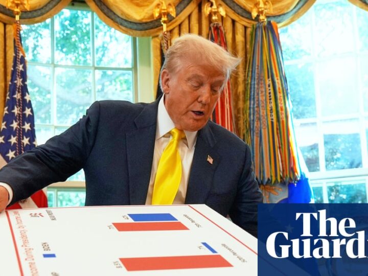 A critique of pure stupidity: understanding Trump 2.0 | Donald Trump