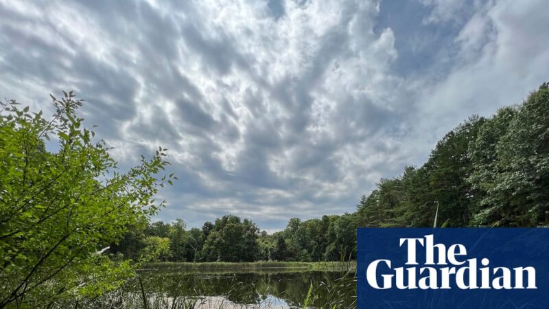 Ohio’s sole national forest could be wiped out as Trump targets land for logging | Ohio
