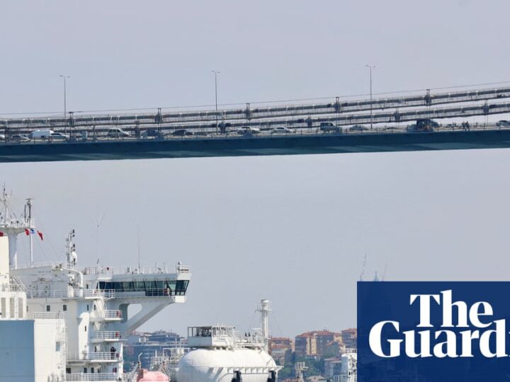 Trump sanctions have swift impact but will world stop buying Russian oil and gas? | Energy industry