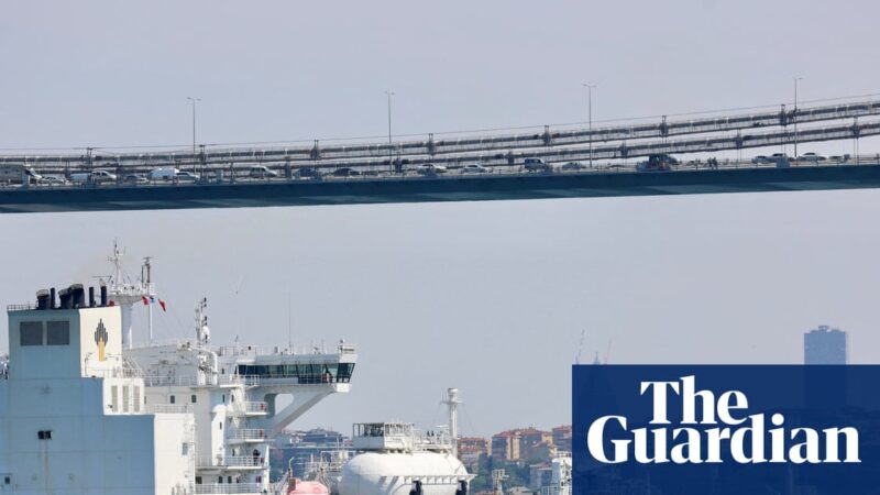 Trump sanctions have swift impact but will world stop buying Russian oil and gas? | Energy industry