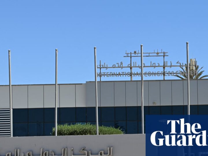As Donald Trump heads to Gaza ‘peace summit’ in Egypt, who is going – and who isn’t? | Egypt