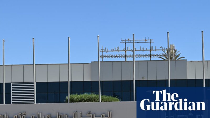 As Donald Trump heads to Gaza ‘peace summit’ in Egypt, who is going – and who isn’t? | Egypt