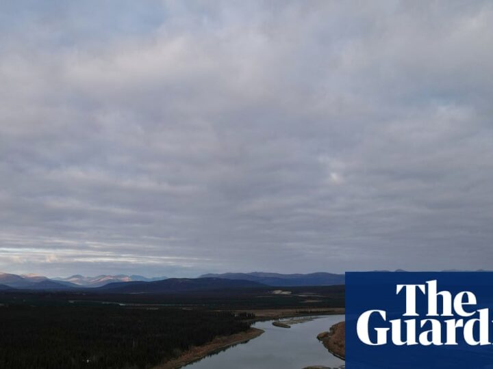 Trump orders approval of 211-mile mining road through Alaska wilderness | Alaska