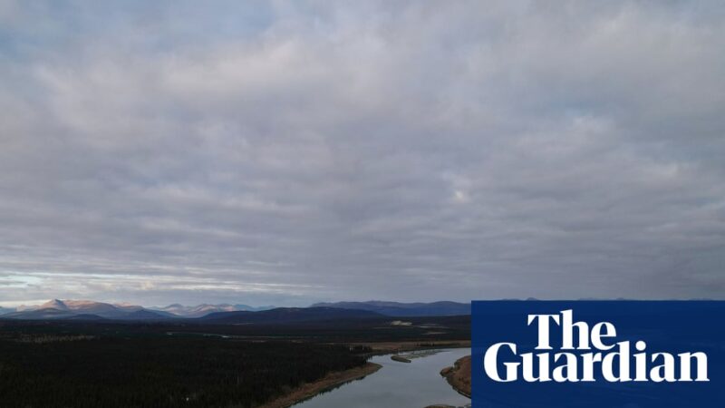 Trump orders approval of 211-mile mining road through Alaska wilderness | Alaska