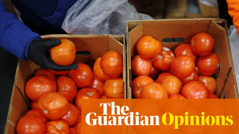 Trump is using the shutdown to make life tougher for millions of workers | Steven Greenhouse