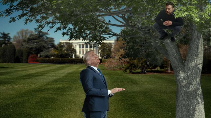 Zelenskyy Tries To Catch Glimpse Of Trump By Climbing White House Sycamore Tree