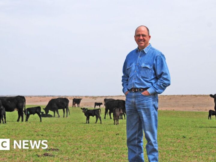 US beef prices are soaring. Will Trump’s plans lower them?