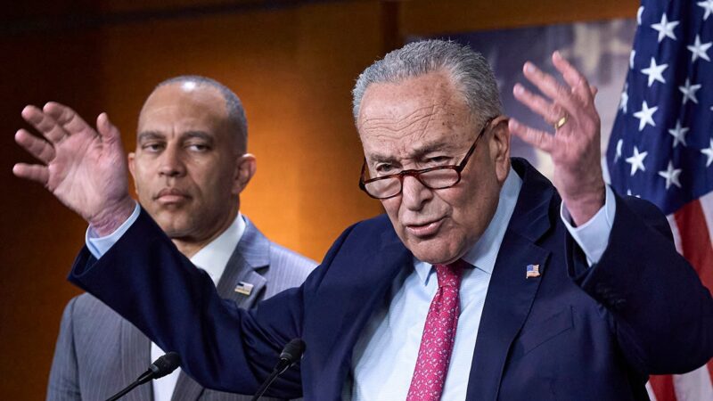 Democrats face uphill battle in government shutdown gamble with Trump
