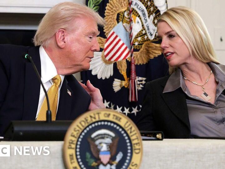 Trump to order probe into Epstein’s alleged ties to Clinton and banks