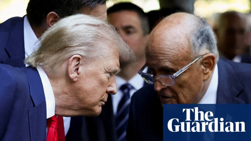 Trump may have inadvertently issued mass pardon for 2020 voter fraud, experts say | Donald Trump