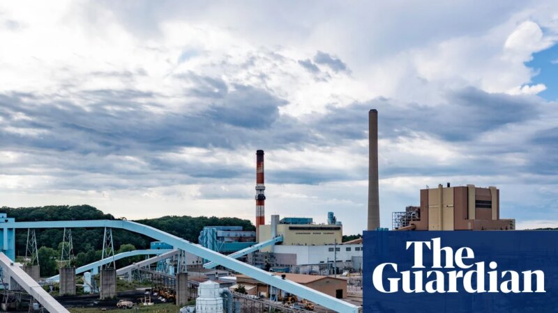 Trump order to keep Michigan power plant open costs taxpayers $113m | Michigan