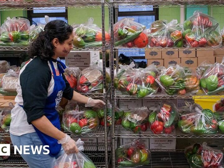 Trump administration will tap emergency fund to pay partial food stamp benefits