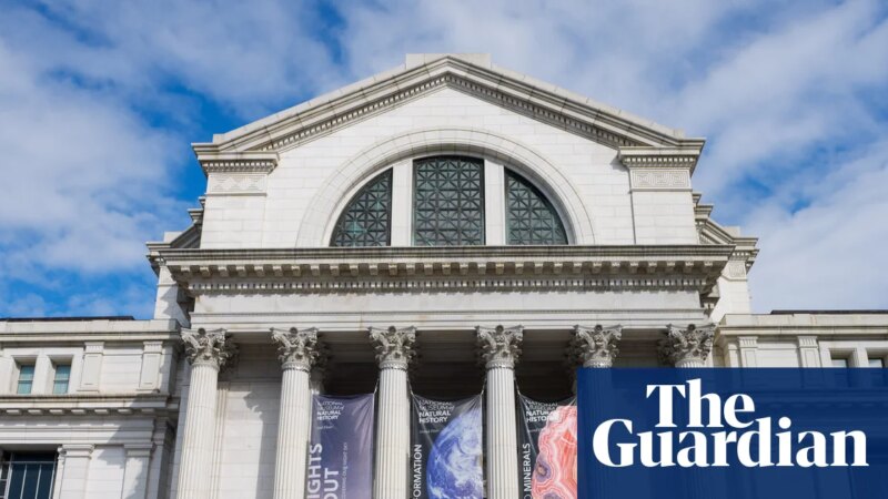 One-third of museums lost government funding since Trump took office, survey says | Trump administration