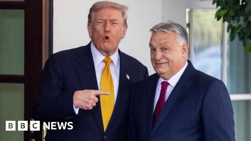 Trump gives Hungary one-year exemption from Russian energy sanctions