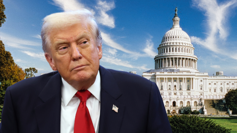 LIZ PEEK: Trump has just eight months to save his presidency from looming midterm election disaster