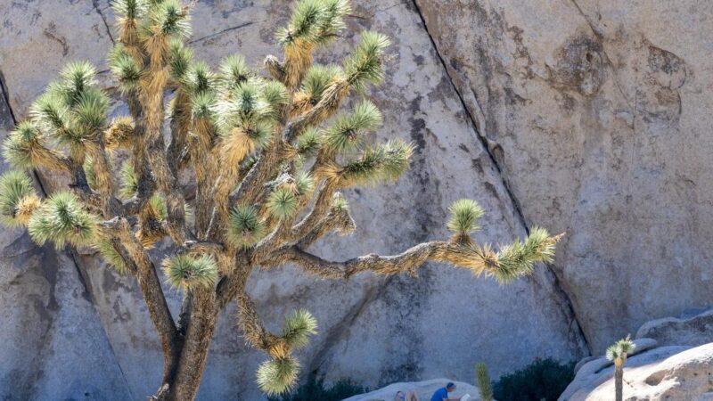 Shutdown teed up Trump’s plan to use public lands for resource extraction