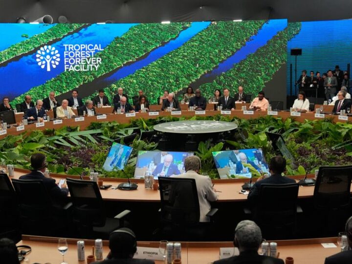 California steps in as Trump skips global climate summit in Brazil