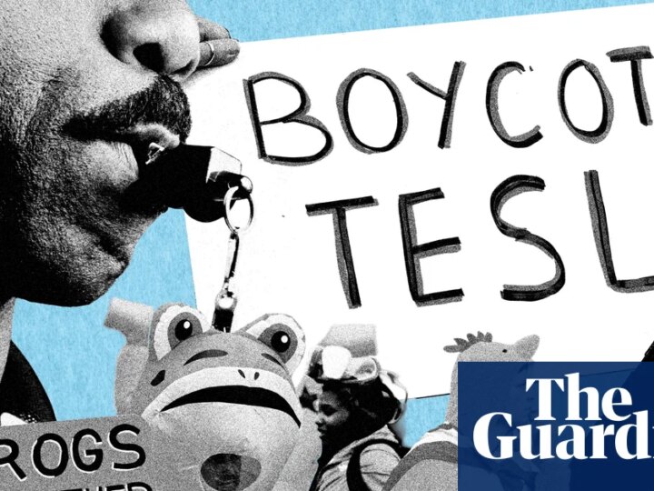 Inflatable frogs and ice scrapers: nine innovative ways Americans protested against Trump in 2025 | Protest (US)