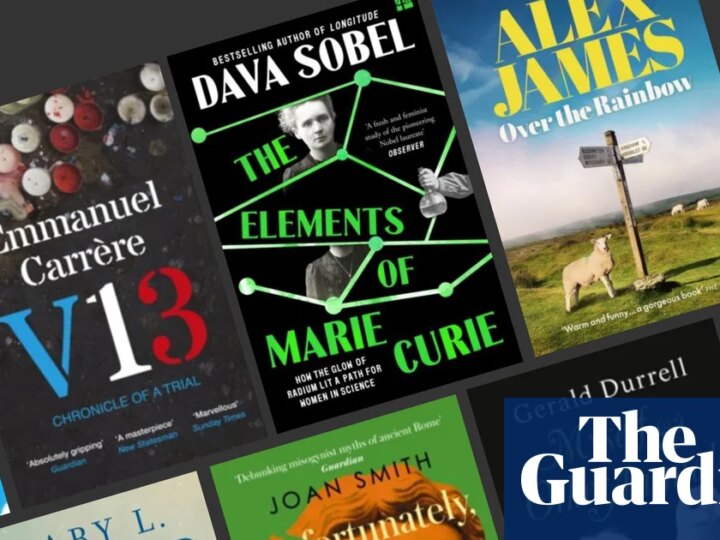 This month’s best paperbacks: Emmanuel Carrère, Mary Trump and more | Books