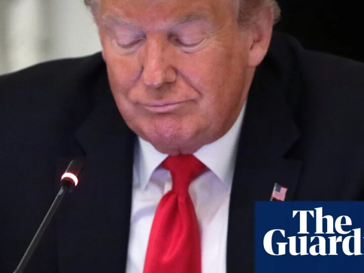 ‘Virality, rumors and lies’: US federal agencies mimic Trump on social media | Donald Trump