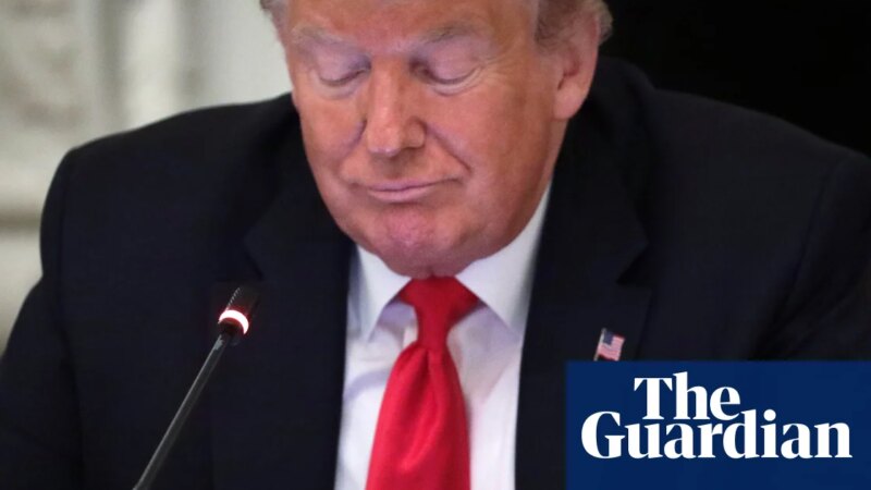 ‘Virality, rumors and lies’: US federal agencies mimic Trump on social media | Donald Trump
