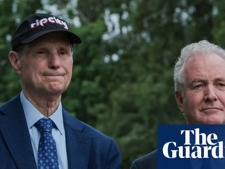 Top Democrats call for investigation into share-buying spree by Trump allies | US Congress