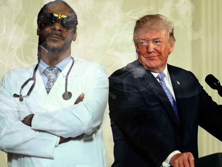 Trump Eases Marijuana Restrictions After Reviewing Extensive Research By Dr. S. Dogg