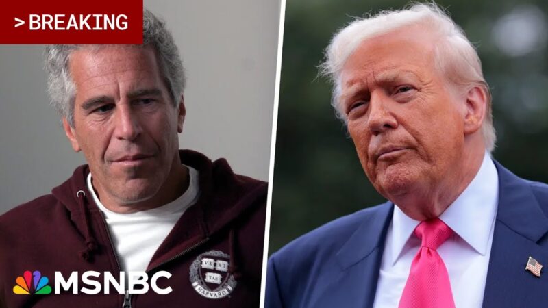 BREAKING: New EPSTEIN emails referencing Trump RELEASED