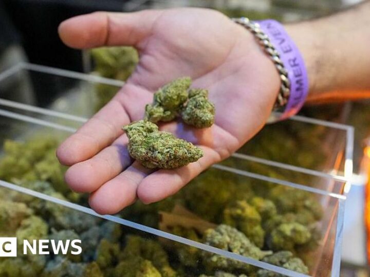 Trump expected to expand access to marijuana in a major shift in drug policy