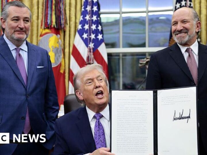 Trump signs order blocking states from enforcing own AI rules