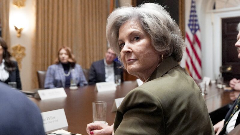 White House chief of staff Susie Wiles says Trump to campaign ahead of midterms