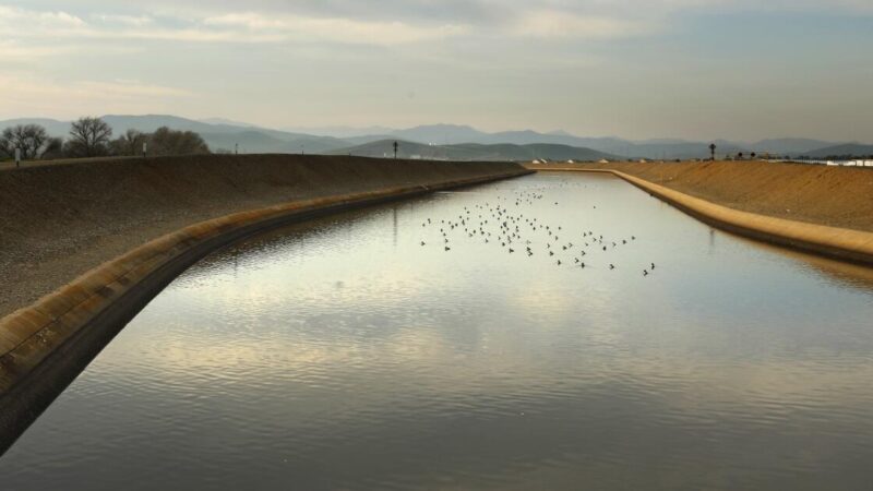 Trump plan to pump more water draws criticism from Calif. lawmakers