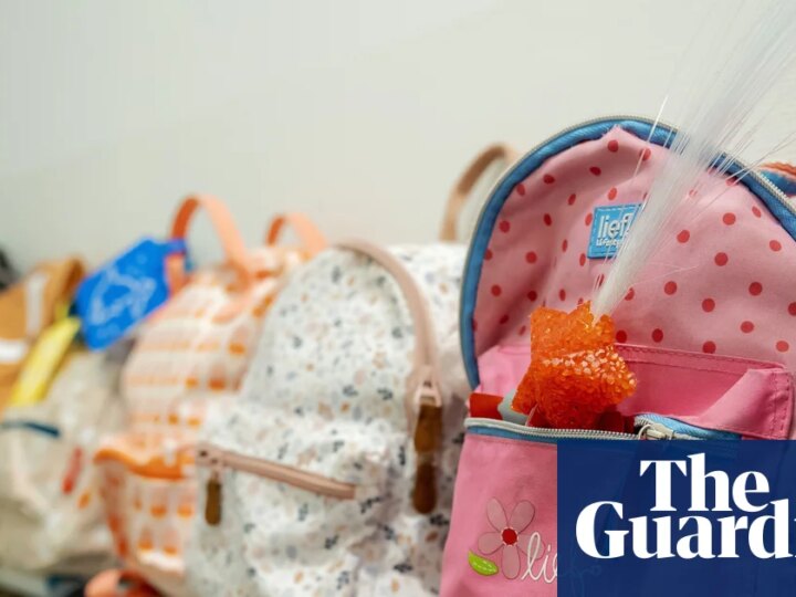 Trump administration halts more than $10bn for childcare and family assistance | US news