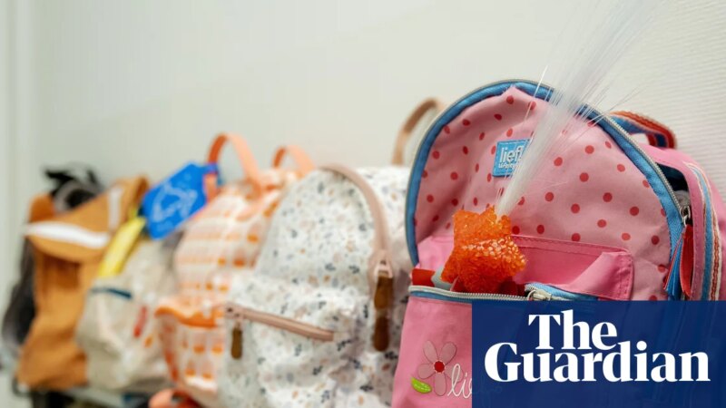 Trump administration halts more than $10bn for childcare and family assistance | US news