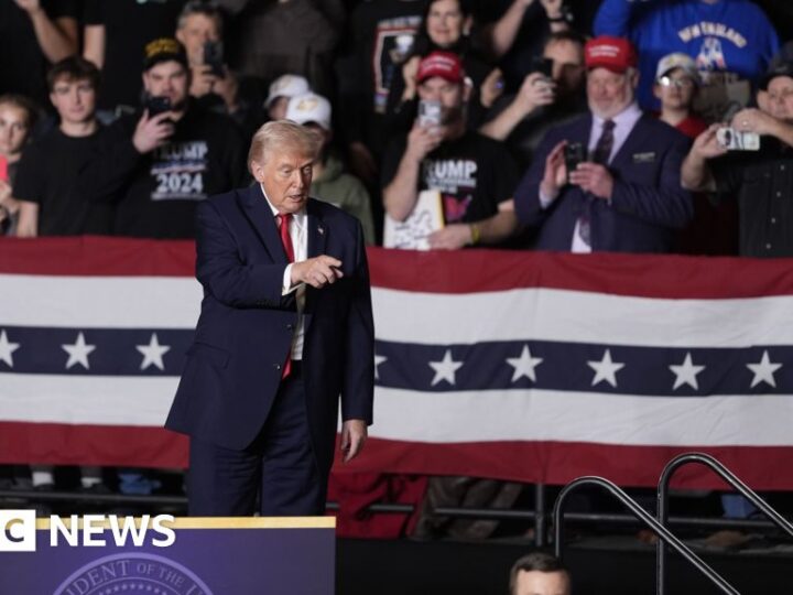 Republicans criticise immigration force but steer clear of Trump attacks