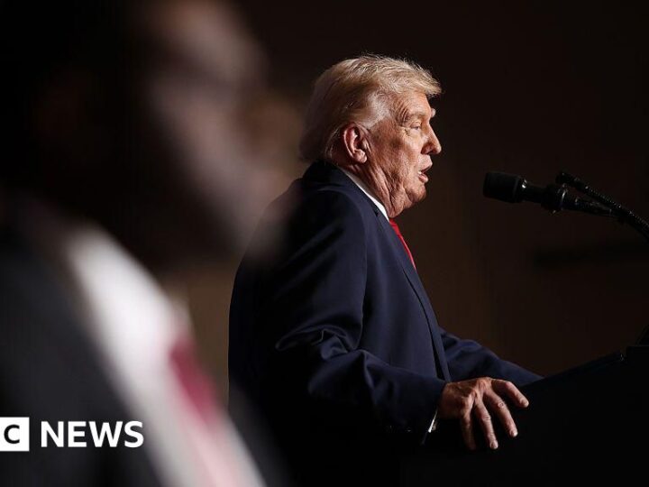 Trump says government will ‘de-escalate a little bit’ in Minnesota after Pretti shooting